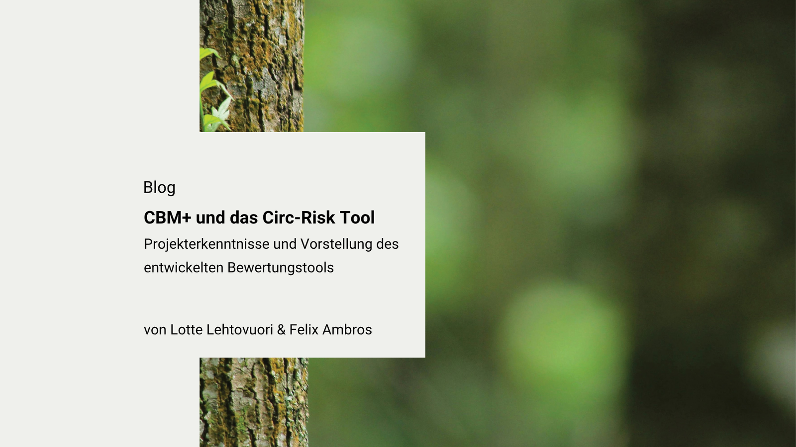 CBM+ Forschungsprojekt und das Circ-Risk Tool