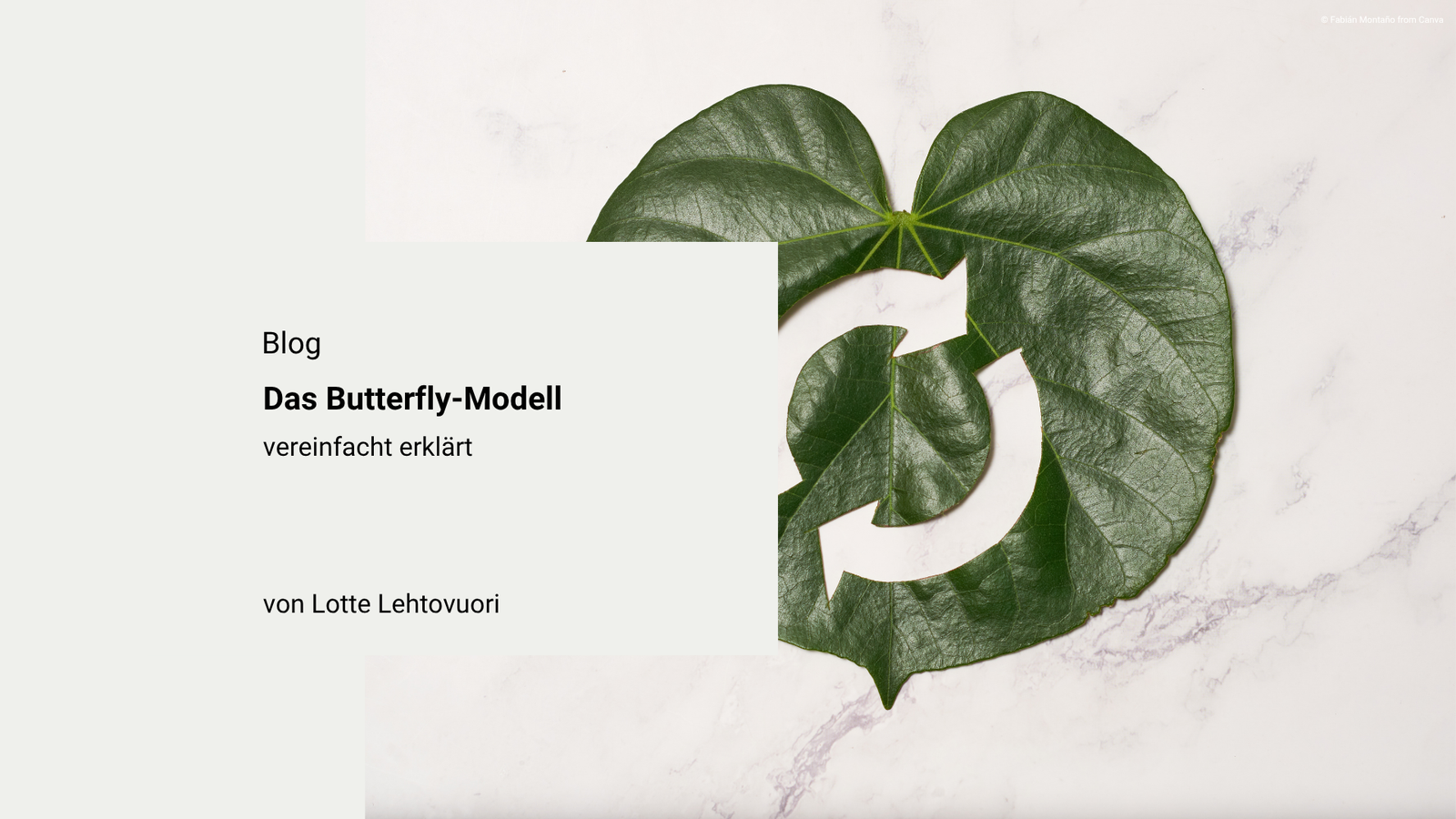 DAS BUTTERFLY-MODELL