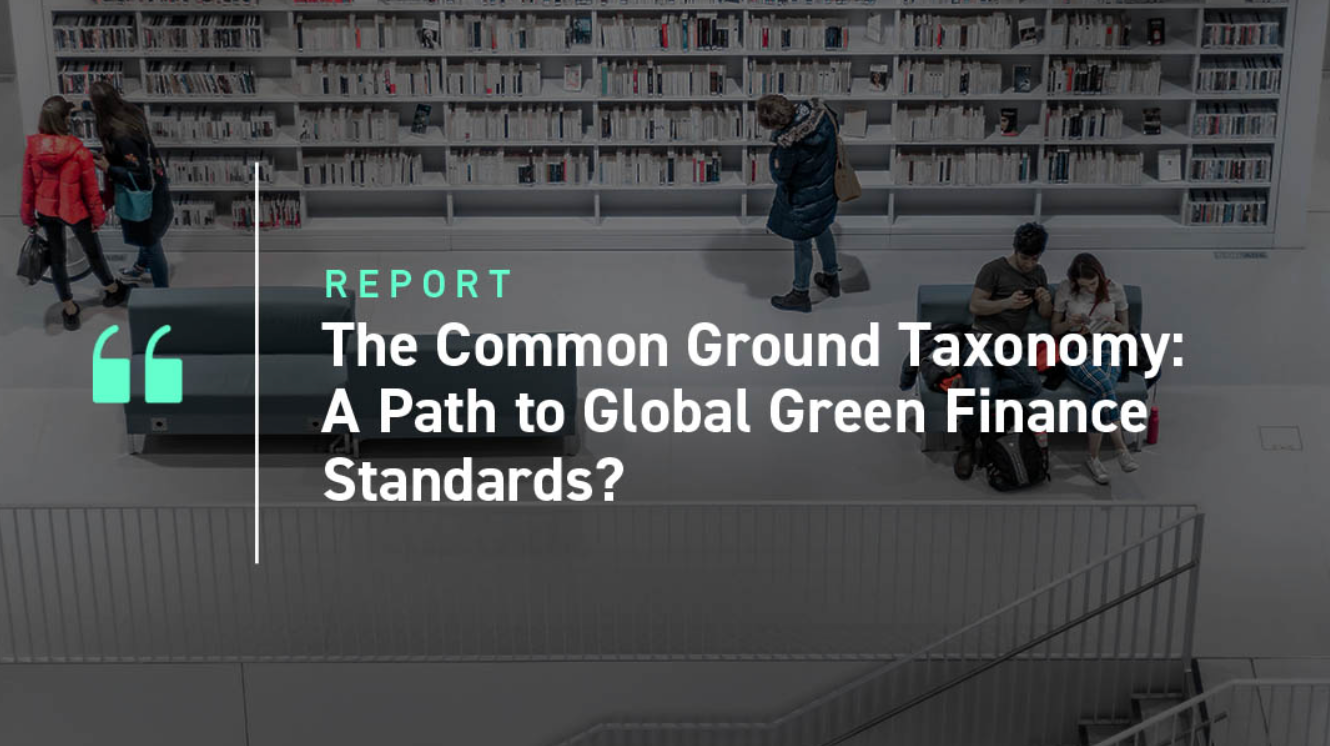Bild von Report zu The Common Ground Taxonomy: A Path to Global Green Finance Standards?