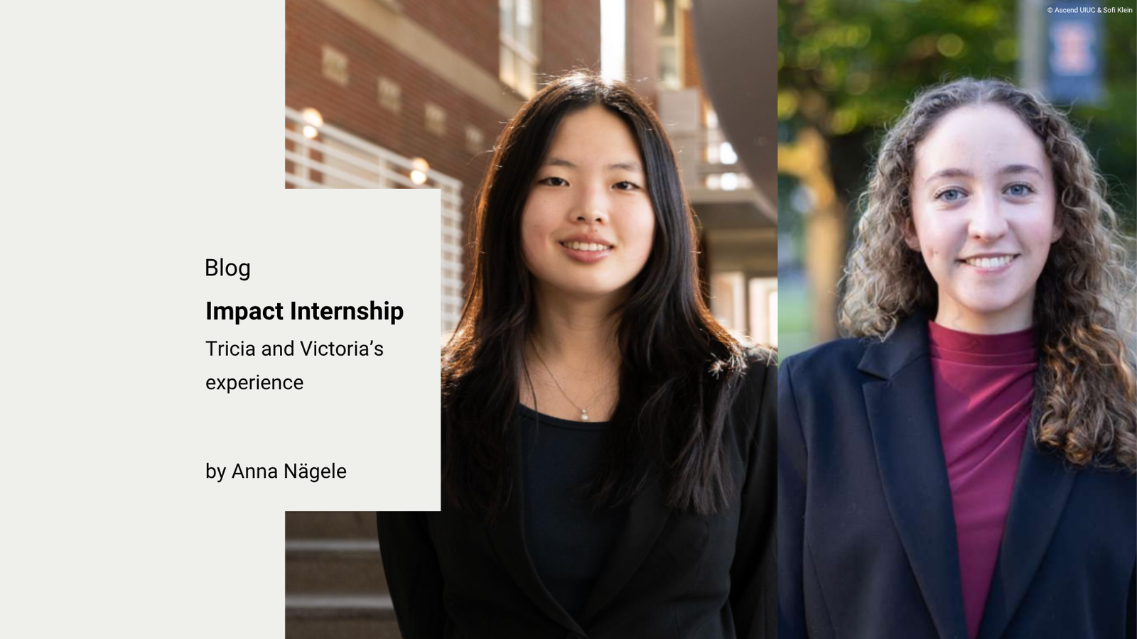 Impact Internship at Thinkubator