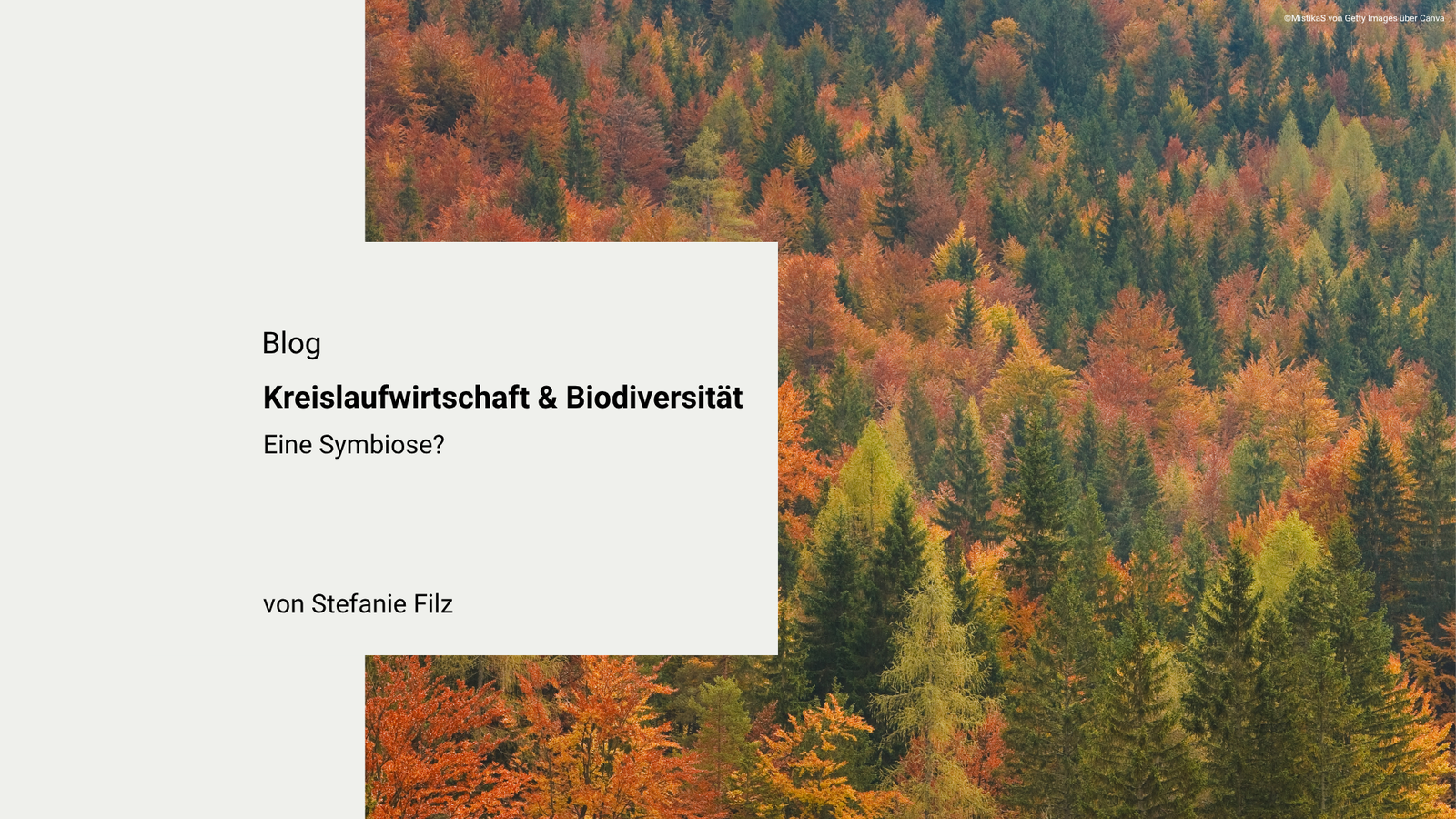 Kreislaufwirtschaft und Biodiversität: Eine Symbiose?