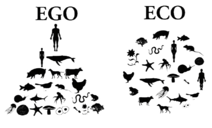 Mensch Ego Natur Eco