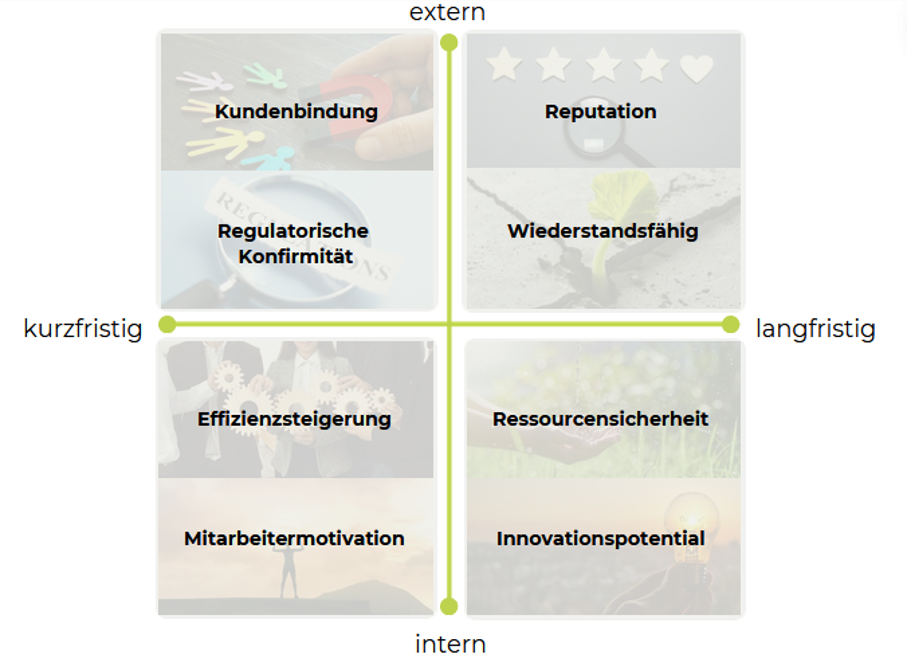 Matrix der internen und externen Vorteile der Kreislaufwirtschaft (kurzfristig und langfristig)