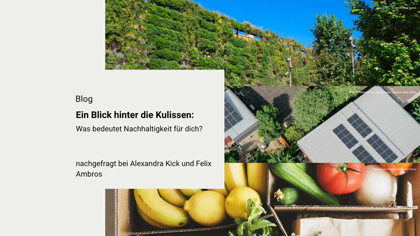 Was bedeutet Nachhaltigkeit für dich?